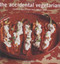 The Accidental Vegetarian by Simon Rimmer, 9781844031634