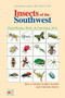 Insects Of The Southwest (How to Identify Helpful, Harmful, and Venomous Insects) by Floyd Werner, Carl Olson, 9781555610609