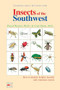 Insects Of The Southwest (How to Identify Helpful, Harmful, and Venomous Insects) by Floyd Werner, Carl Olson, 9781555610609