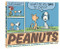 The Complete Peanuts 1961-1962 (Vol. 6 Paperback Edition) by Charles M. Schulz, Diana Krall, 9781606999493