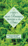 101 Most Powerful Prayers in the Bible by Steve, Lois Rabey, Claire Cloninger, 9780446532136