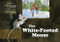 The White-Footed Mouse by Bert Dodson, Willem Lange, 9781593731090