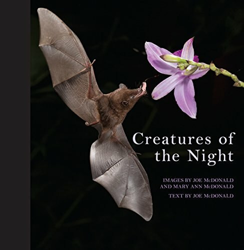 Creatures of the Night by Mary Ann McDonald, 9781921517365