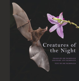 Creatures of the Night by Mary Ann McDonald, 9781921517365