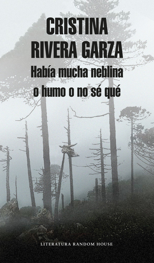 Había mucha neblina o humo o no sé qué: Caminar con Juan Rulfo / There Was a Lot of Fog, or Smoke, or I'm Not Sure What: Walking wi.. (Spanish Edition) by Cristina Rivera Garza, 9786073149471