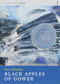 Black Apples of Gower - 9781908213457 by Iain Sinclair, 9781908213457
