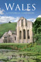 Wales A Historical Companion by Terry Breverton, 9781848683266