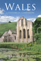Wales A Historical Companion by Terry Breverton, 9781848683266