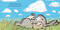 Love - 9780763689414 by Emma Dodd, Emma Dodd
