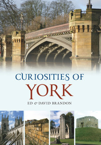 Curiosities of York by Ed Brandon, David Brandon, 9781848683990