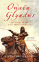 Owain Glyndwr (The Story of the Last Prince of Wales) by Terry Breverton, 9781445614984
