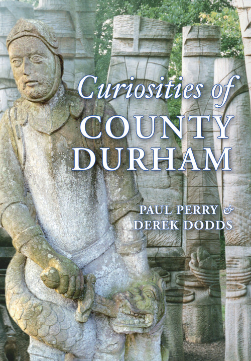 Curiosities of County Durham by Paul Perry, Derek Dodds, 9781848683853