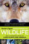 North American Wildlife (An Illustrated Guide to 2,000 Plants and Animals) by Editors of Reader's Digest, 9781606524916