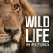 Wildlife In Pictures by Craig Hayman, 9781921517624