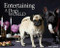 Entertaining - A Dogs World by Asia Upward, 9781742577982