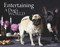Entertaining - A Dogs World by Asia Upward, 9781742577982