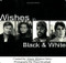 Wishes in Black and White by Eileen Williams-Sabry, 9781885003553