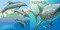Good Night Ocean by Mark Jasper, Harvey Stevenson, 9781602190368