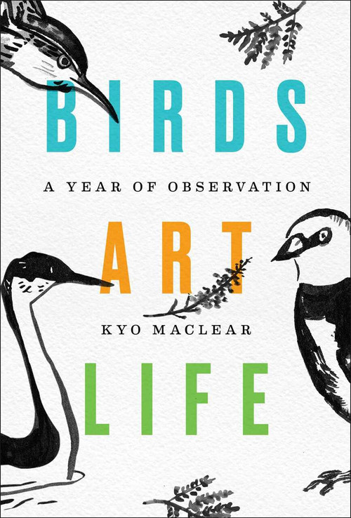 Birds Art Life (A Year of Observation) by Kyo Maclear, 9781501154201