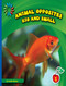 Big and Small - 9781634704717 by Cecilia Minden, 9781634704717