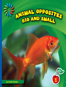 Big and Small - 9781634705912 by Cecilia Minden, 9781634705912