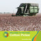 Cotton Picker - 9781634712330 by Samantha Bell, 9781634712330