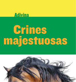 Crines majestuosas (Majestic Manes) (Caballo (Horse)) (Spanish Edition) by Kelly Calhoun, 9781634714501