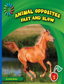 Fast and Slow by Cecilia Minden, 9781634704724