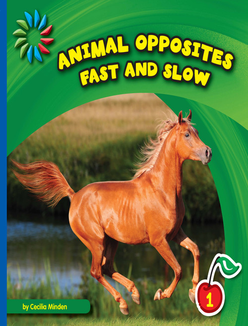 Fast and Slow by Cecilia Minden, 9781634704724