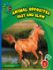 Fast and Slow by Cecilia Minden, 9781634704724
