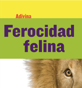 Ferocidad felina (Fiercely Feline) (León (Lion)) (Spanish Edition) - 9781634714648 by Kelly Calhoun, 9781634714648