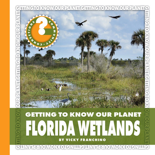 Florida Wetlands by Vicky Franchino, 9781634705165