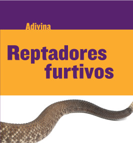 Reptadores furtivos (Slinky Sliders) (Serpiente de cascabel (Rattlesnake)) (Spanish Edition) - 9781634714686 by Kelly Calhoun, 9781634714686