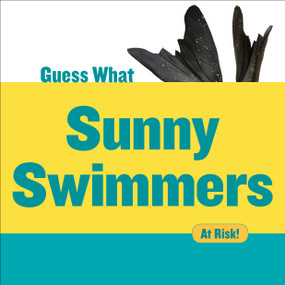 Sunny Swimmers (Monk Seal) by Felicia Macheske, 9781634721752