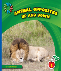 Up and Down - 9781634704687 by Cecilia Minden, 9781634704687