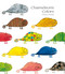 Chameleon's Colors by Chisato Tashiro, Marianne Martens, 9780735821118