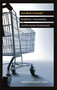 How Much is Enough? (Buddhism, Consumerism, and the Human Environment) by Richard K. Payne, 9780861716852