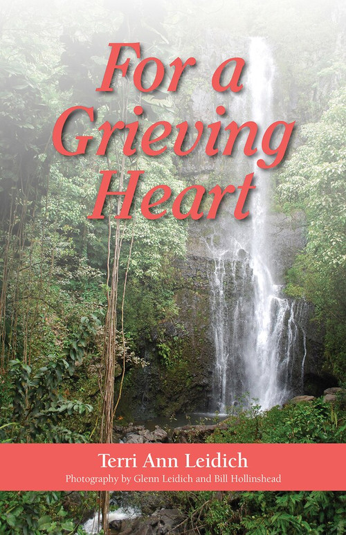 For a Grieving Heart by Terri Ann Leidich, Bill Hollinshead, 9781937084868