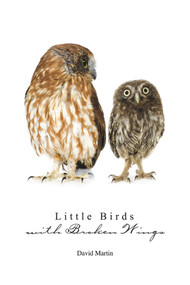 Little Birds with Broken Wings by David Martin, 9781608080595