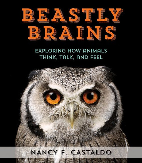 Beastly Brains (Exploring How Animals Think, Talk, and Feel) by Nancy Castaldo, 9780544633353