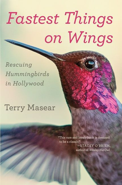 Fastest Things On Wings (Rescuing Hummingbirds in Hollywood) by Terry Masear, 9780544705371