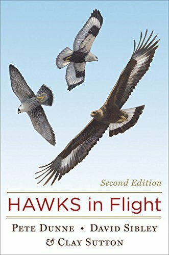 Hawks in Flight (Second Edition) by David Sibley, Clay Sutton, Pete Dunne, 9780395709597