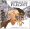Animals in Flight by Robin Page, Steve Jenkins, 9780618548828
