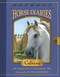 Horse Diaries #14: Calvino by Whitney Sanderson, Ruth Sanderson, 9781101937792