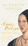 Anne Boleyn (Henry VIII's Obsession) by Elizabeth Norton, 9781848685147