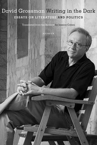 Writing in the Dark (Essays on Literature and Politics) by David Grossman, Jessica Cohen, 9780312428600