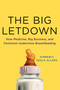 The Big Letdown (How Medicine, Big Business, and Feminism Undermine Breastfeeding) by Kimberly Seals Allers, 9781250026965