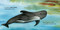 If I Were a Whale (A Board Book for Toddlers Ages 1-3 (Toddler Stocking Stuffers)) by Shelley Gill, Erik Brooks, 9781632171047
