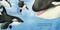 If I Were a Whale (A Board Book for Toddlers Ages 1-3 (Toddler Stocking Stuffers)) by Shelley Gill, Erik Brooks, 9781632171047