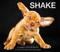 Shake - 9780062497642 by Carli Davidson